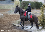 IMG_5012a.jpg