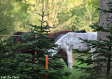 IMG_6490a.jpg