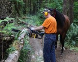 Helping with wood cutting