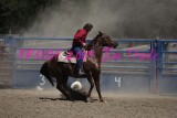 IMG_8567.jpg