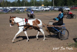 IMG_3219.jpg