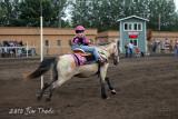 IMG_8384.jpg