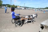 IMG_8450 (2).jpg