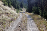 Few Rocks in Center of Road