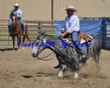 IMG_4572a.jpg