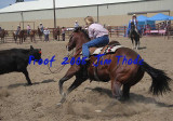IMG_4803a.jpg