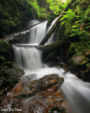 Whisky Creek