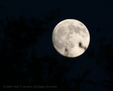 Moon - IMG_8964.JPG