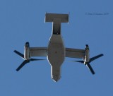 V-22 Osprey - IMG_2890.JPG