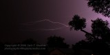 Lightning - IMG_2299.JPG