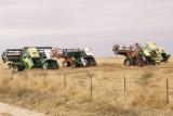 Combines at Ladehoff Farms