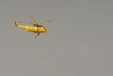 Carson Helicopter