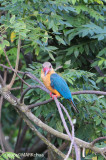 DSC_0799.jpg