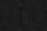 Cygnus