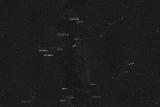 Cygnus