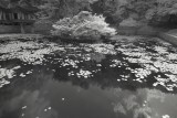 Resize of _DSC5606.jpg