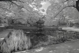 Resize of _DSC5655.jpg