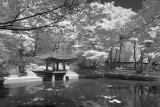 Seoul - Infrared Perspective
