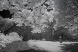 Resize of _DSC3273.jpg