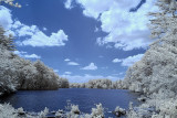 Resize of _DSC4893_1.jpg