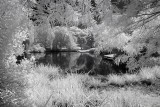 Resize of _DSC9275.jpg