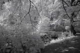 Resize of _DSC0403.jpg
