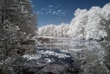 Resize of _DSC1977.jpg