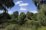 Resize of _DSC9423.jpg