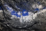 Resize of _DSC7646.jpg