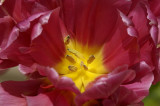Resize of _DSC4522.jpg