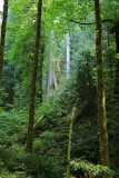 Goldstream Provincial Park