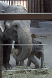 Mother and Child II