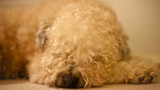 We all deserve a restful time