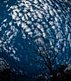 Reaching for the sky