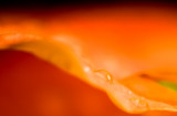 Warm dew