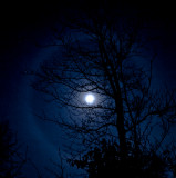 Moon ring