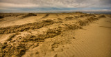 Long Beach Sandscape, Washington, USA