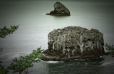 Sea stacks (2), Cape Meares State Park, Oregon Coast