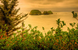 Sea Stacks, Cape Meares State Park (5), Oregon Coast