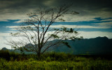 Landscape of Kauai (1), Hawaii
