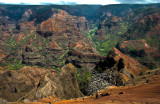 Waimea Canyon (4), Kauai, Hawaii