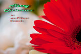 Merry Christmas to you and your loved ones