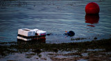 A float, a diver, a buoy and ripples