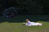 Reading