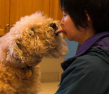 I love you