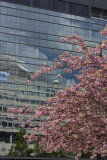    Blossom time.
