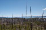 Yellowstone Lake