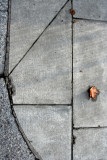 Angles Cement Leaf005.jpg