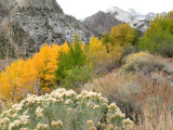 Fall Colors of McGee Creek