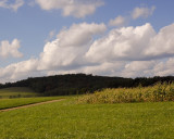 Farmer's Dream